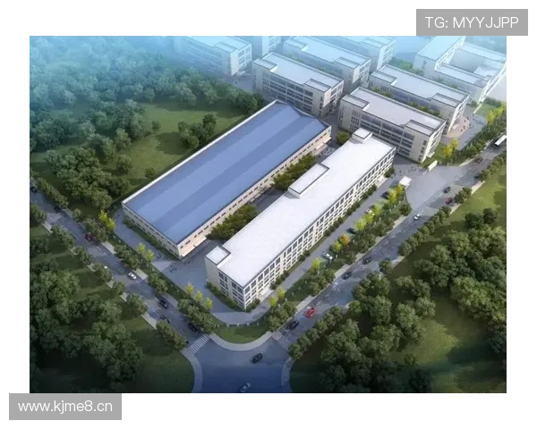 建德企业家创新精神助力地方经济发展探索与未来机遇分析